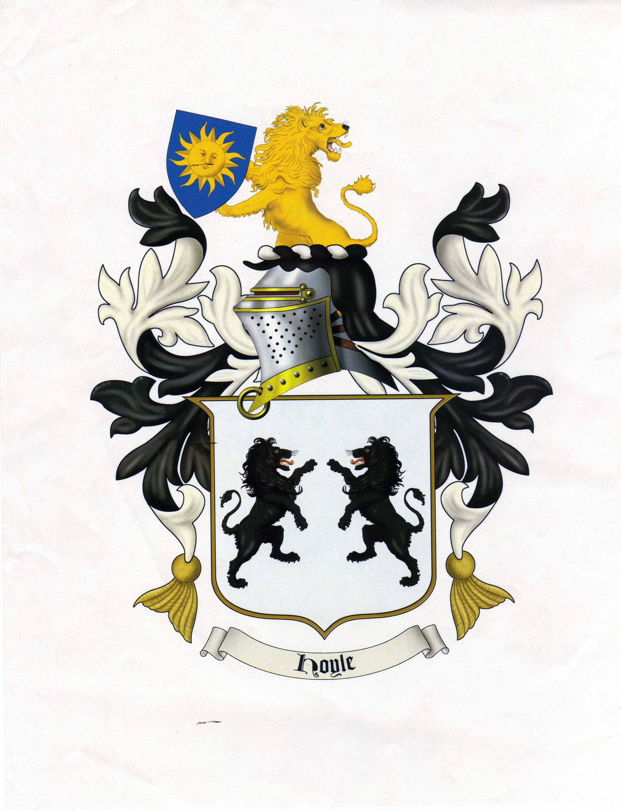 Robin Hoyle Association Management
