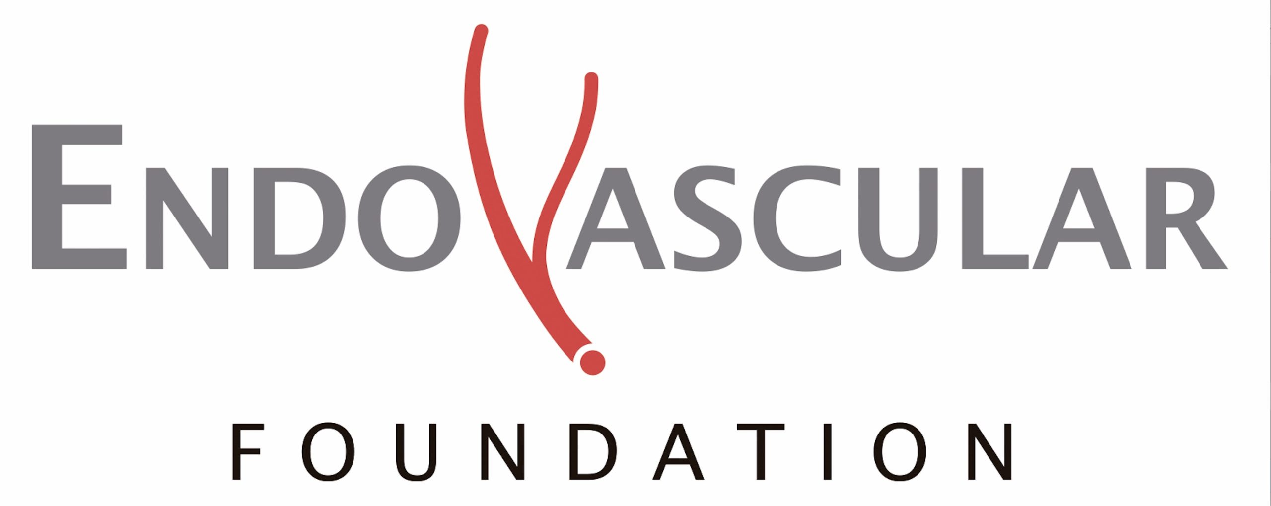 Endovascular Foundation